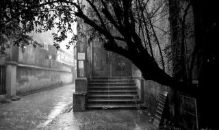 故宫5月12日起闭馆 故宫5月12日起闭馆